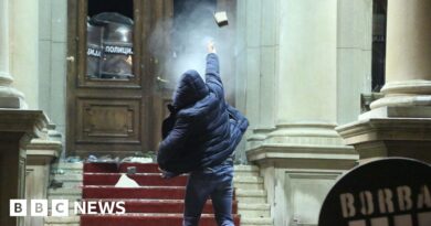 Watch: Demonstrators throw rocks at Belgrade City Hall