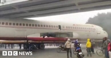 Watch: Plane gets jammed under bridge in India