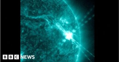 Watch: Sun emits strongest solar flare in years