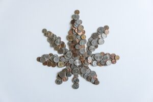 With hopes for greener grass in Germany vanishing, consolidation is in the cards for cannabis companies | TechCrunch