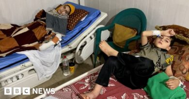 'I don't want to be a number': Gazans live in fear of dying