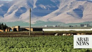 Syrian farmers abandon the land for steadier jobs