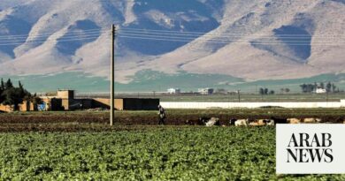 Syrian farmers abandon the land for steadier jobs