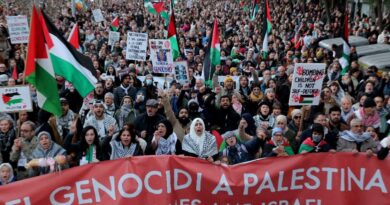 20,000 march in Spanish capital against Gaza 'genocide'