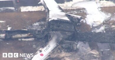 Aerial footage shows burned out shell of Japan plane