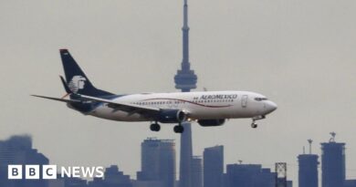 Aeromexico passenger opens plane door and walks on wing