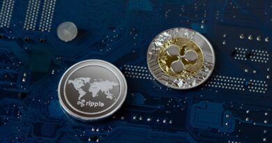 After 12 years, Ripple’s president sees its payment and enterprise businesses evolving further | TechCrunch