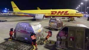 Air freight rates could spike as Red Sea attacks disrupt shipments via sea