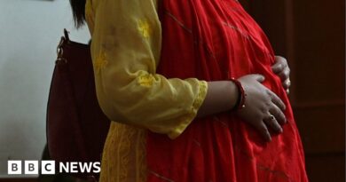 All India Pregnant Job service: The Indian men who fell for the scam