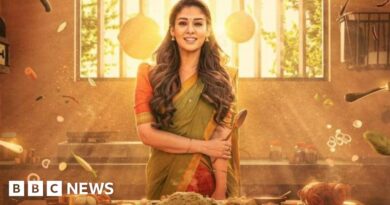 Annapoorani: Netflix removes Nayanthara film after backlash from Hindu groups