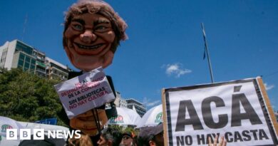 Argentina: Tens of thousands march against Javier Milei's cuts