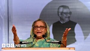 Bangladesh: The election that has turned into a one-woman show