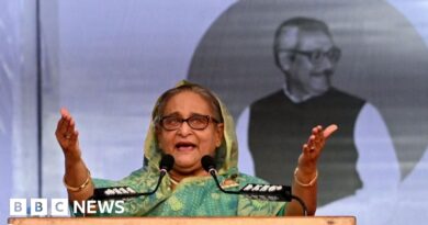 Bangladesh: The election that has turned into a one-woman show