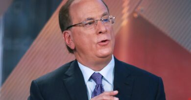 BlackRock’s Larry Fink says bitcoin ETFs are just the first step in the technological revolution of finance