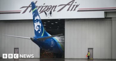 Boeing: US regulator to increase oversight of firm after blowout