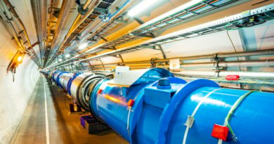 CERN's Large Hadron Collider is looking for dark photons. But... why?