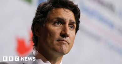 Canada PM Justin Trudeau's official plane breaks down, again