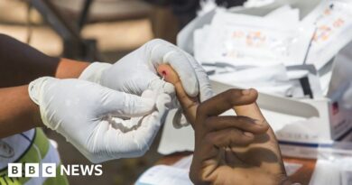 Cape Verde reaches malaria-free milestone