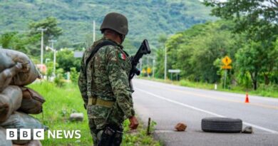 Chiapas violence: Hundreds flee cartel battles in southern Mexico