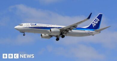 Cockpit window crack forces ANA Boeing flight in Japan to turn back