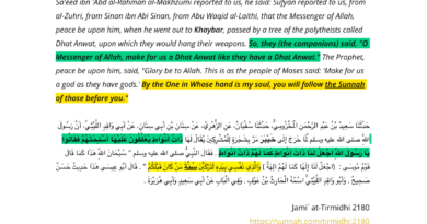 Companions cursed for requesting an idol from the prophet (Sahih)