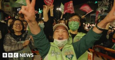 DPP supporters celebrate victory in Taiwan election