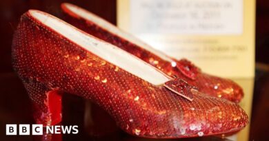 Dying thief stole Wizard of Oz ruby slippers as 'one last score'