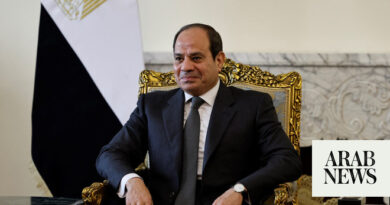 Egyptian leader urges strong private sector to boost development