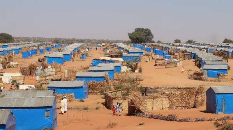 Eight million displaced by Sudan war: UN