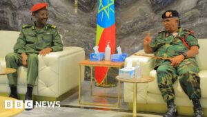 Ethiopia-Somaliland army chiefs meet amid regional tensions