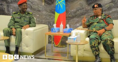 Ethiopia-Somaliland army chiefs meet amid regional tensions