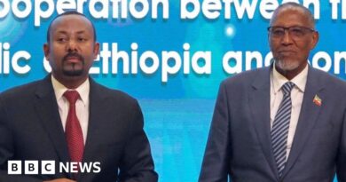 Ethiopia signs agreement with Somaliland paving way to sea access