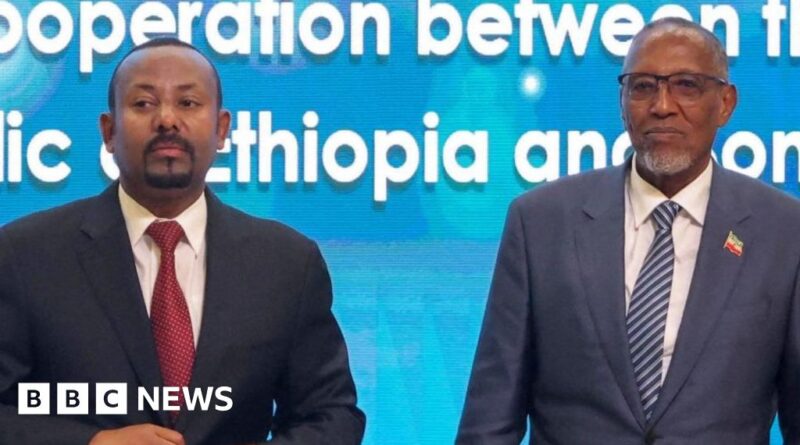 Ethiopia signs agreement with Somaliland paving way to sea access