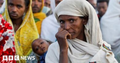 Ethiopia starvation: Fear of famine in Tigray grows