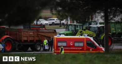 French protests: Female farmer and daughter killed as car hits protesters