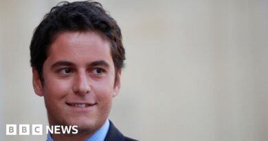 Gabriel Attal: Youngest French PM hopes to revive Macron's government