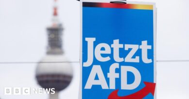 German far-right met to plan 'mass deportations'