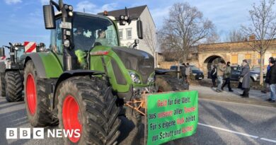 German far-right seeks to piggyback on farmer protests