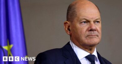 Germany: Scholz warns against rise of neo-Nazi networks