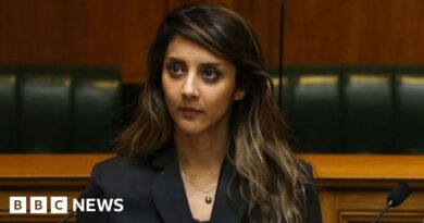 Golriz Ghahraman: New Zealand MP resigns following shoplifting allegations