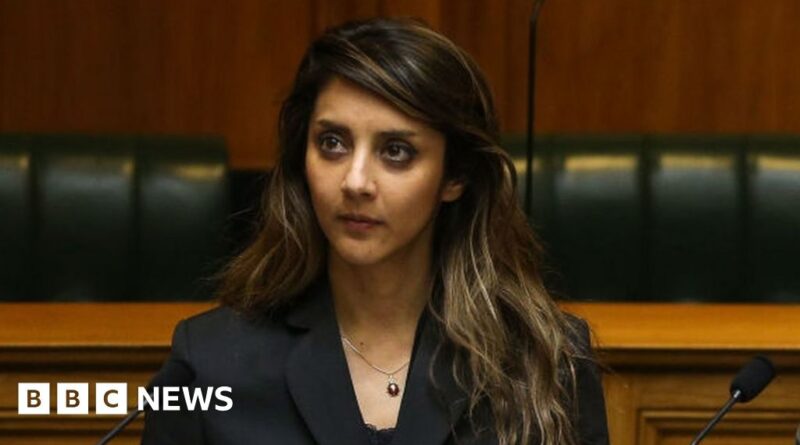 Golriz Ghahraman: New Zealand MP resigns following shoplifting allegations