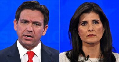 Haley, DeSantis clash over Disney and government's role in business