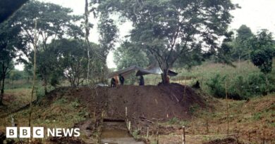 Huge ancient city found in the Amazon