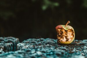 I'm sorry but you owe me 27% because I said so | TechCrunch