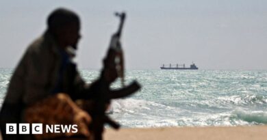 Indian navy boards ship attacked by pirates off Somali coast