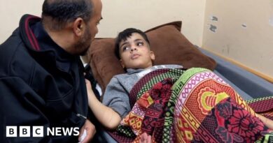 Injured, hungry and alone - the Gazan children orphaned by war