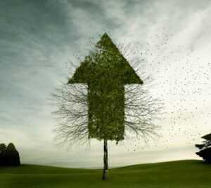 Investors are optimistic about 2024 | TechCrunch