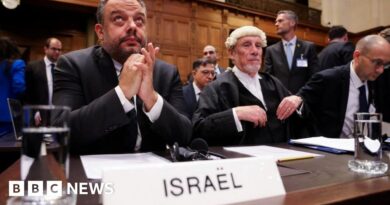 Israel says South Africa distorting the truth in ICJ genocide case