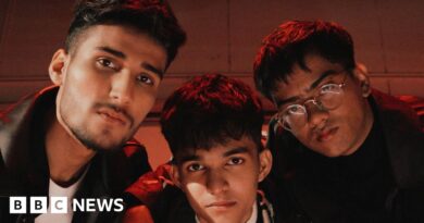 It's a dream come true to work in Urdu with Zayn Malik, say band