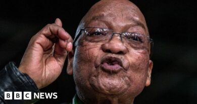 Jacob Zuma: ANC suspends ex-South Africa president after rival party launch